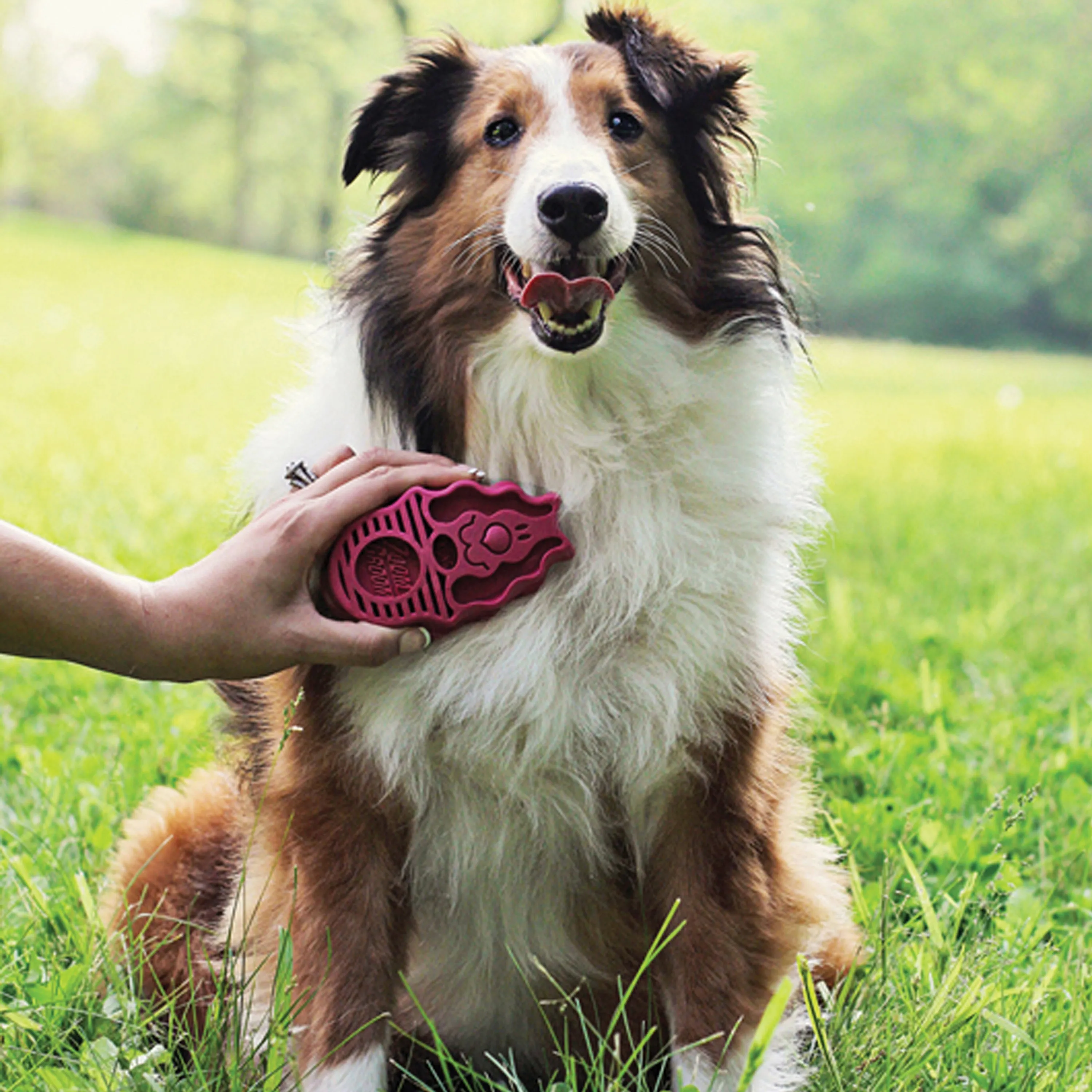 KONG ZoomGroom™ Raspberry Dog Grooming Brush (Large)