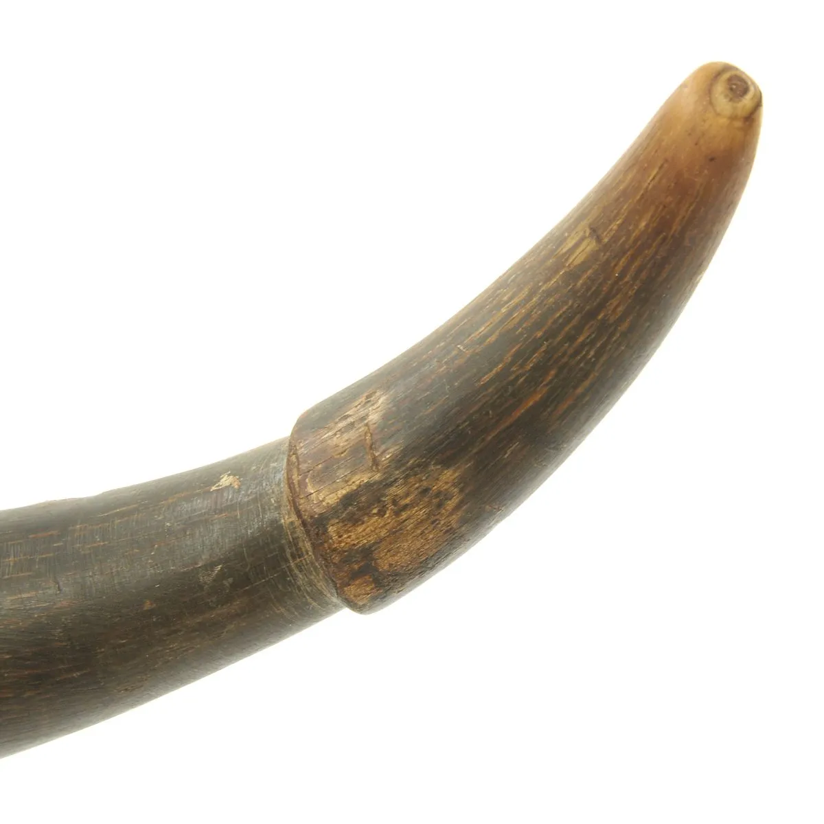 Original U.S. Naval Gunner's Priming Priming Powder Horn with Patriotic Scrimshaw Engraving c.1812